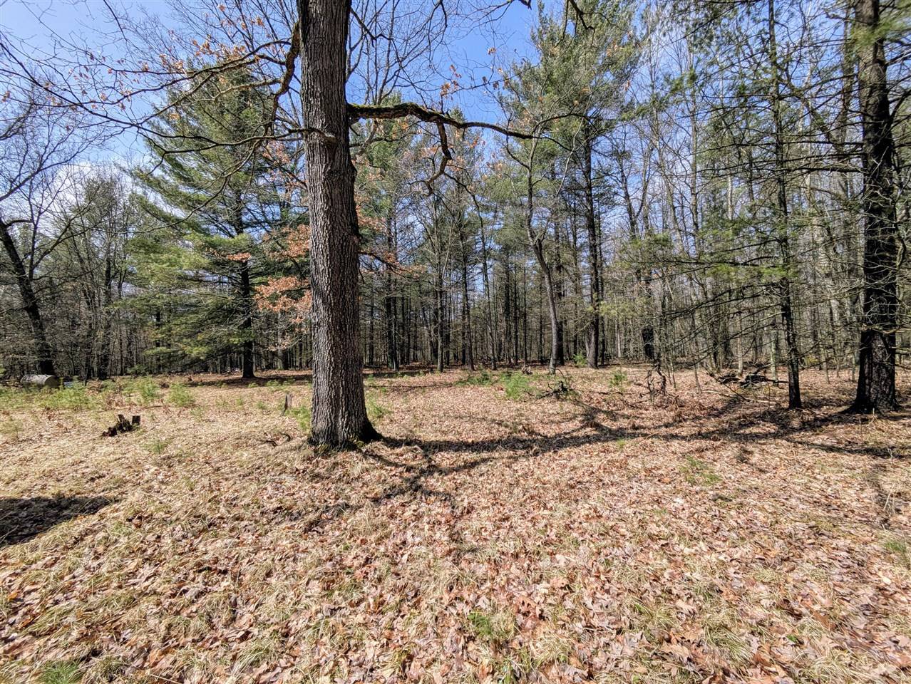 Marion, MI 49665-8381,630 Ivy Lane