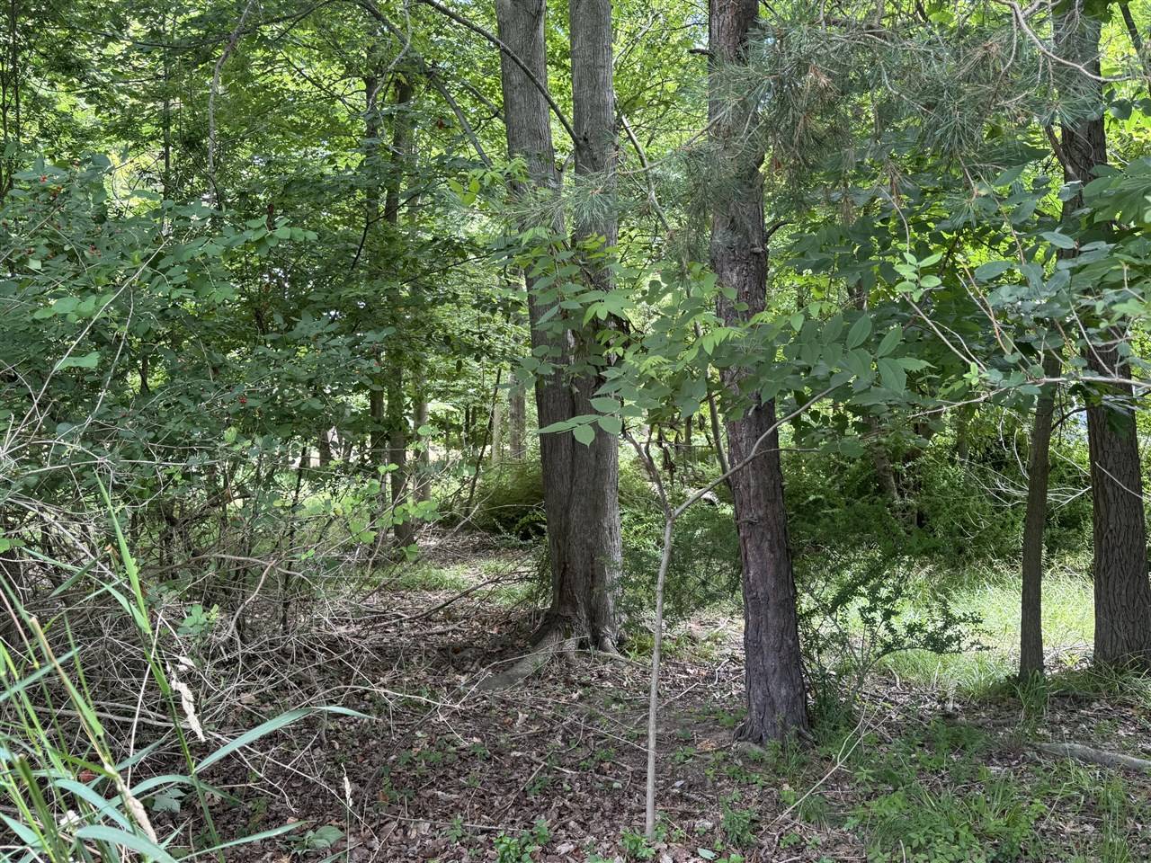 Douglas, MI 49406,125 W Shore Woods