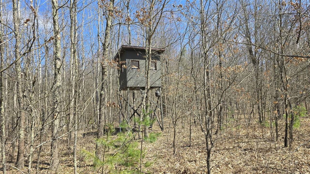 W 7 Mile Road, Irons, MI 49644