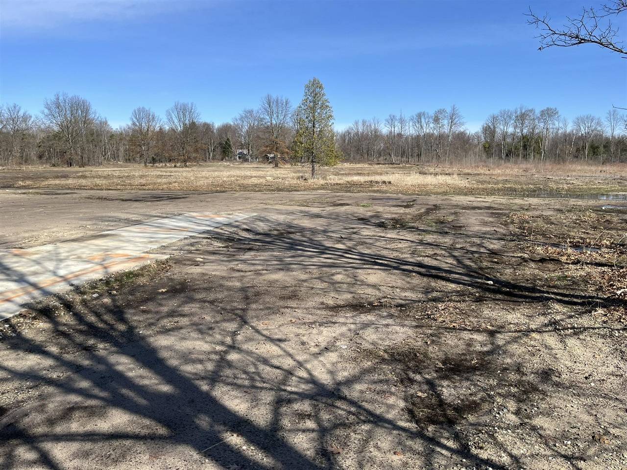 Hesperia, MI 49421,VL S 192nd Avenue