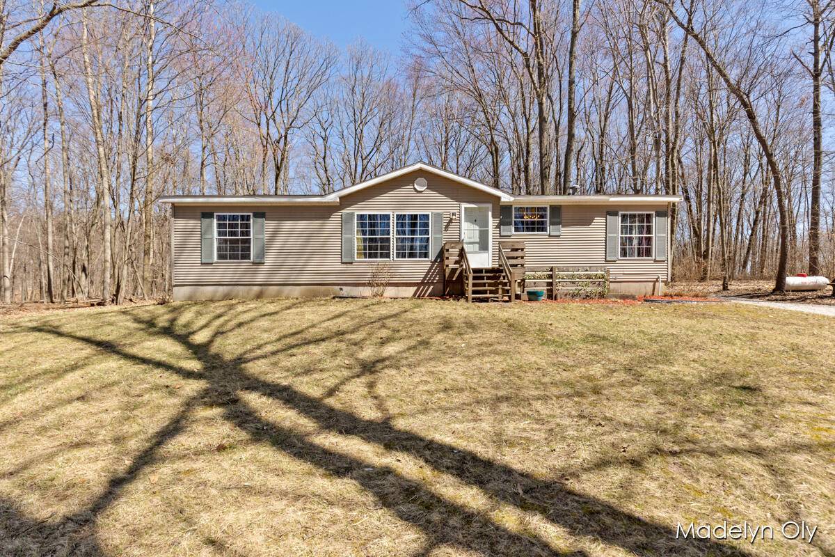 18792 Fir Drive, Big Rapids, MI 49307-9381