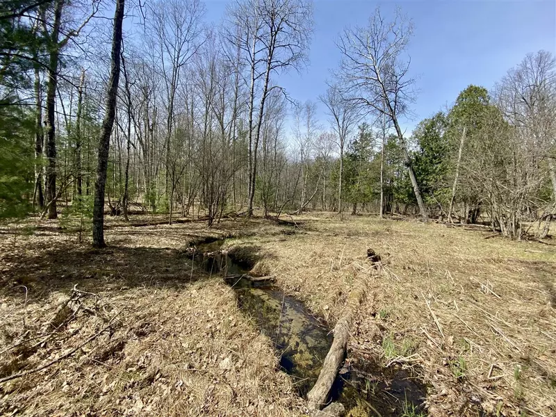 9.75 Acres Snyder Rd, Wellston, MI 49689