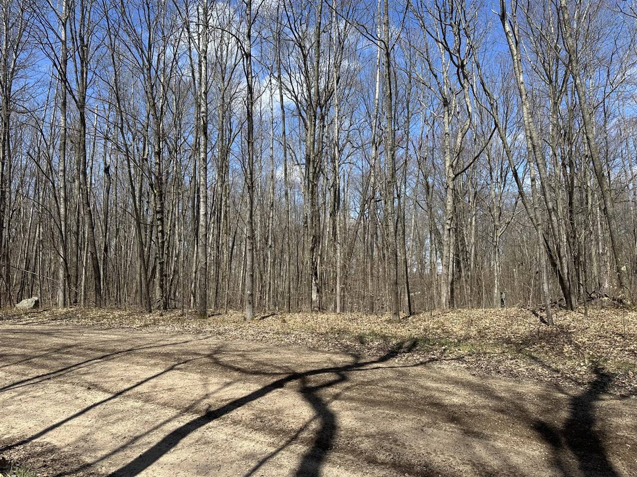 Lot 24&41 Swiss Apline, Reed City, MI 49677