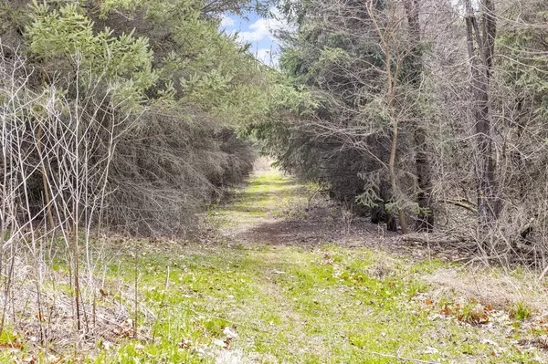 Hanover, MI 49241,9875 Rountree Road
