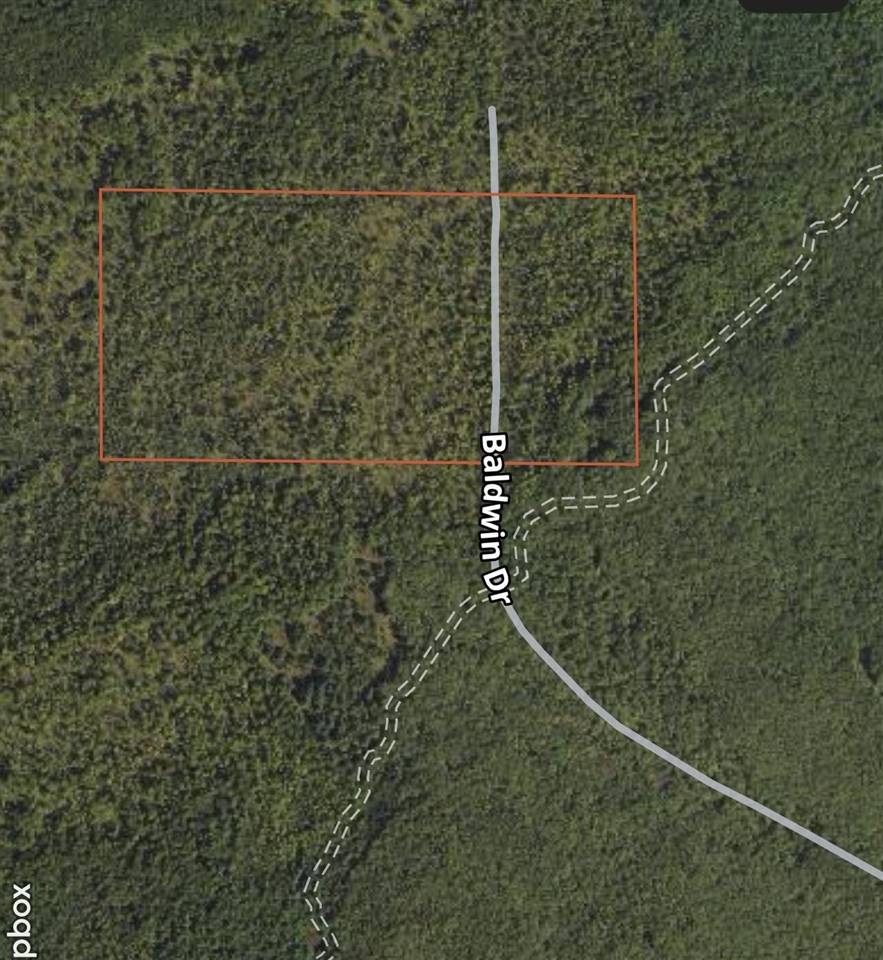 Bitely, MI 49309,13460 Baldwin Drive
