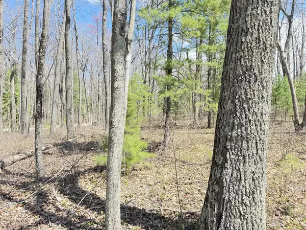 Bitely, MI 49309,0 W Franklin Street