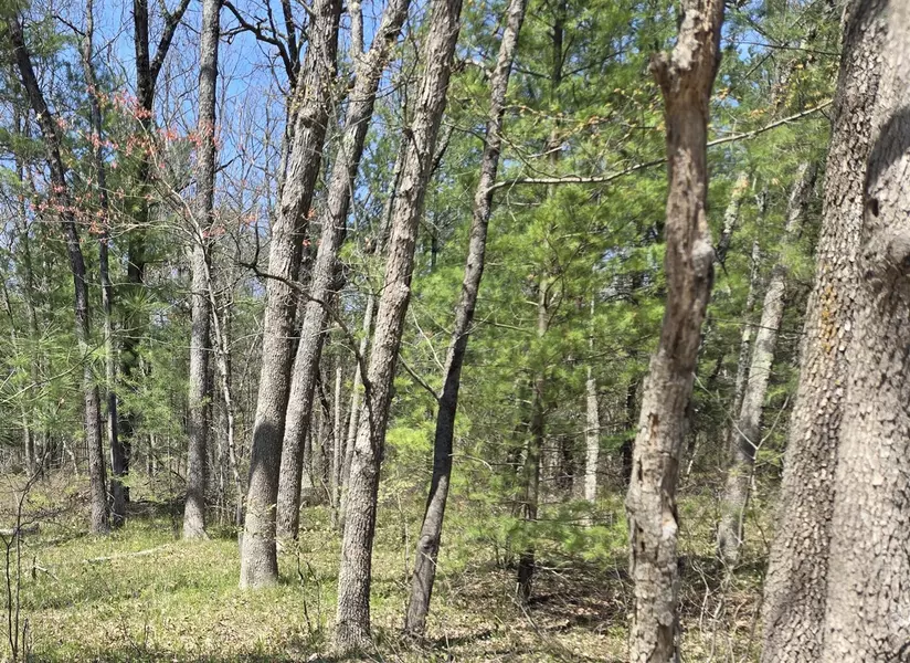 V/L W Coolidge Street, Bitely, MI 49309