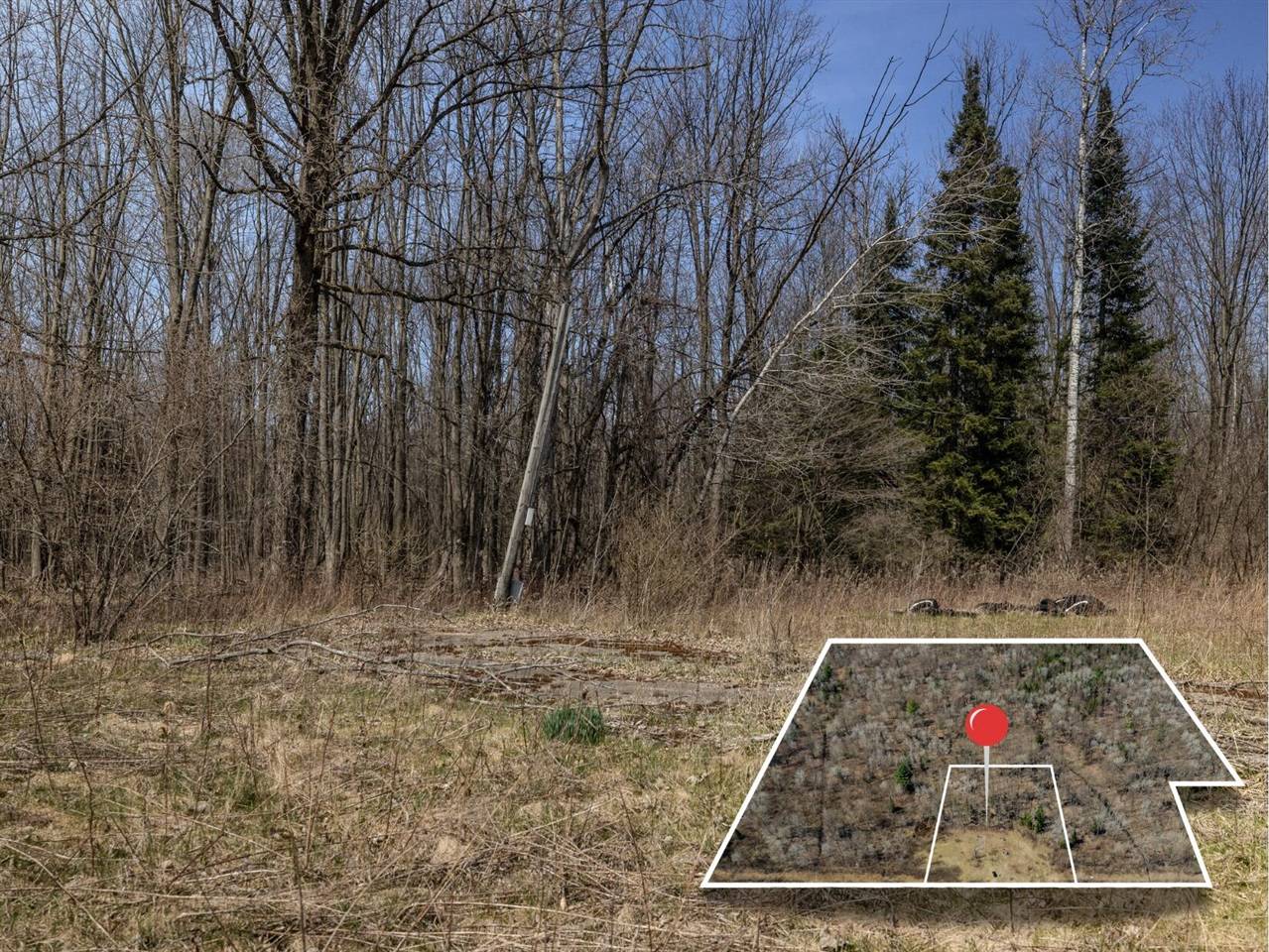 Beaverton, MI 48612,V/L S Wieman Rd
