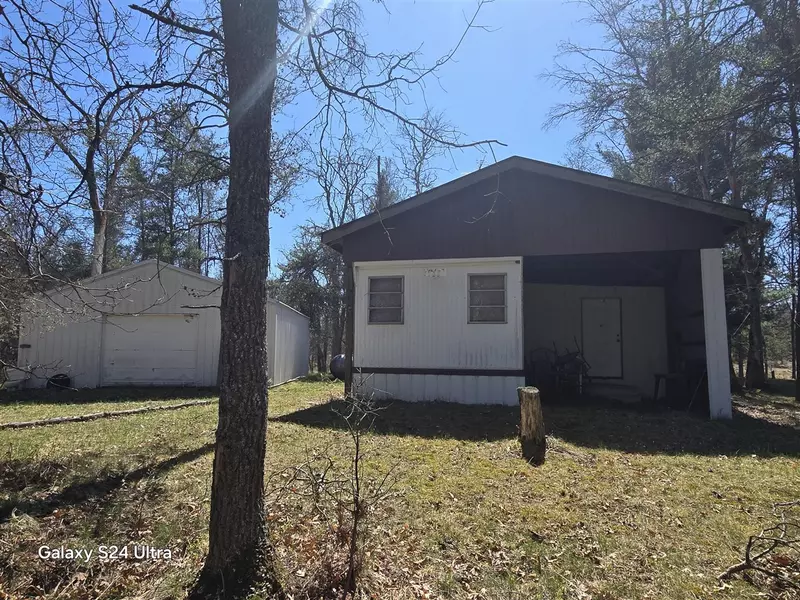 8656 N Dog Patch Drive, Irons, MI 49644