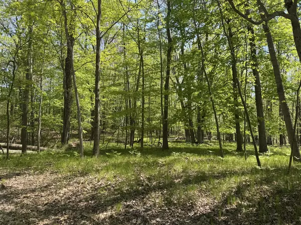9236 Lost Canyon Court, Canadian Lakes, MI 49346