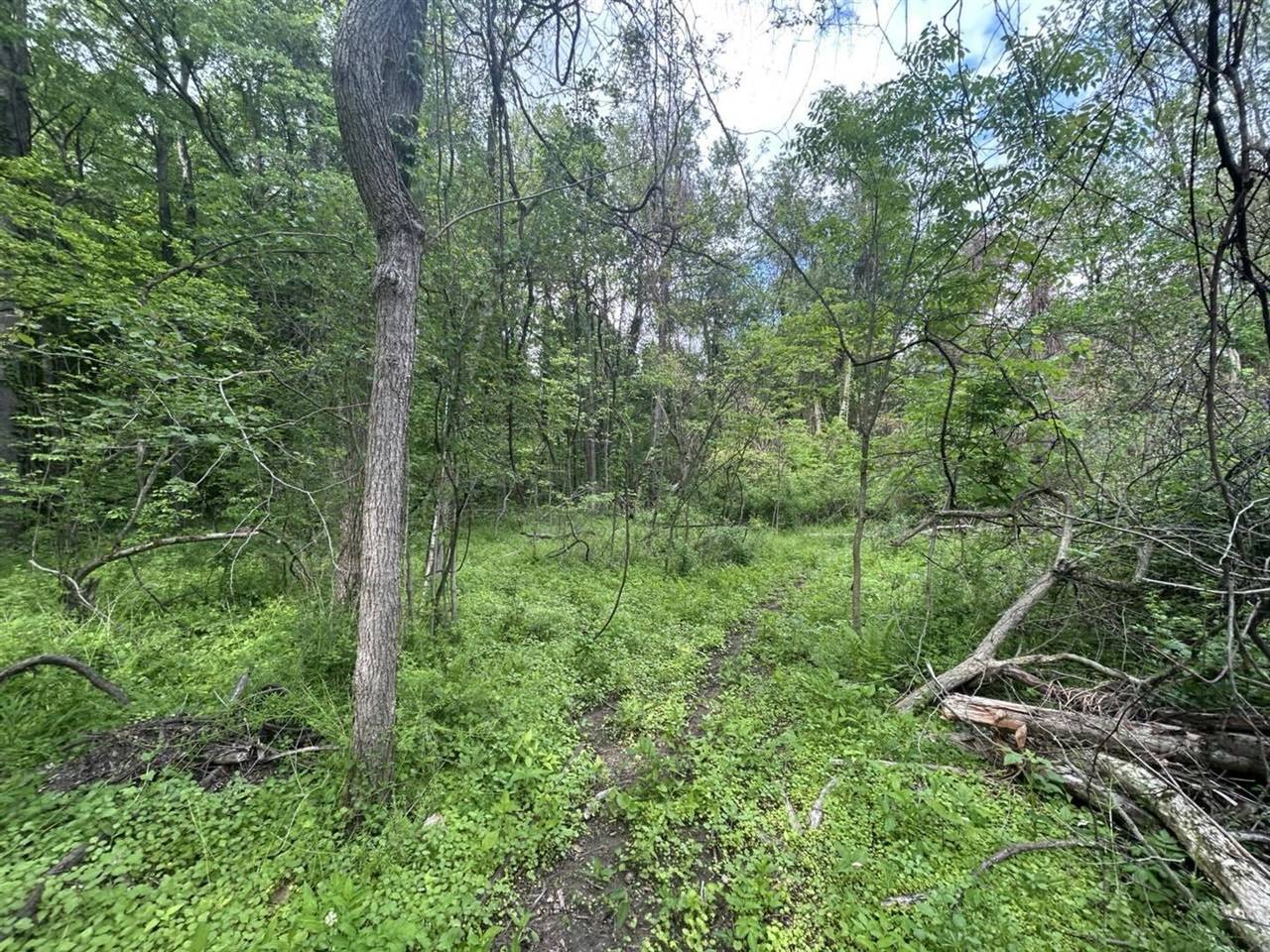 Quincy, MI 49082,VL Litchfield Road