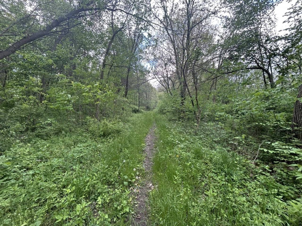 Quincy, MI 49082,VL Litchfield Road