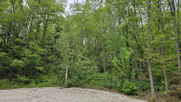 West Olive, MI 49460,11158 Worley Dam Rd