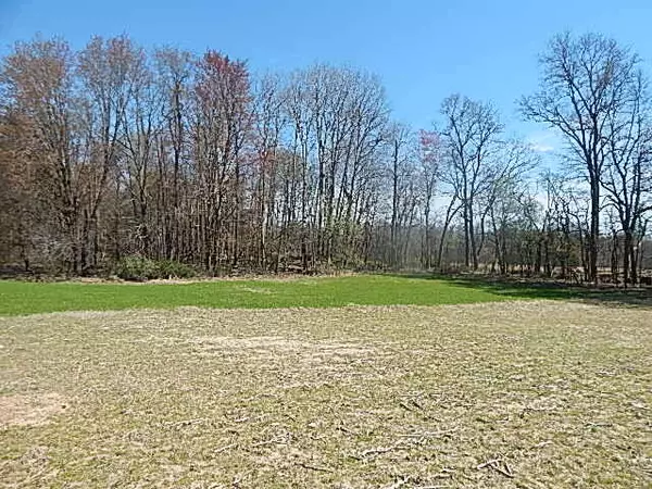 Burlington, MI 49029,9999 N N Dr S
