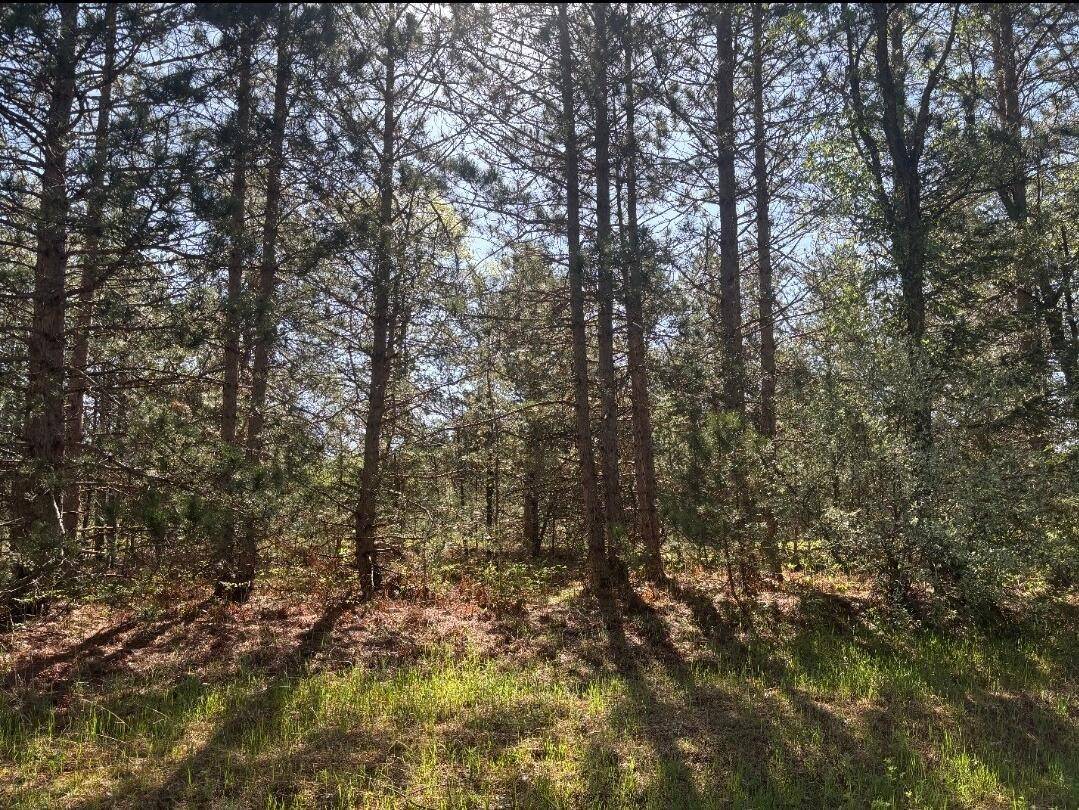 White Cloud, MI 49349,Parcel A Spruce
