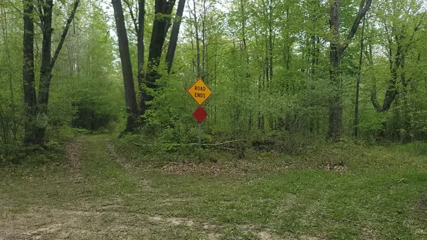 0000 Cassiday Road, Gladwin, MI 48624