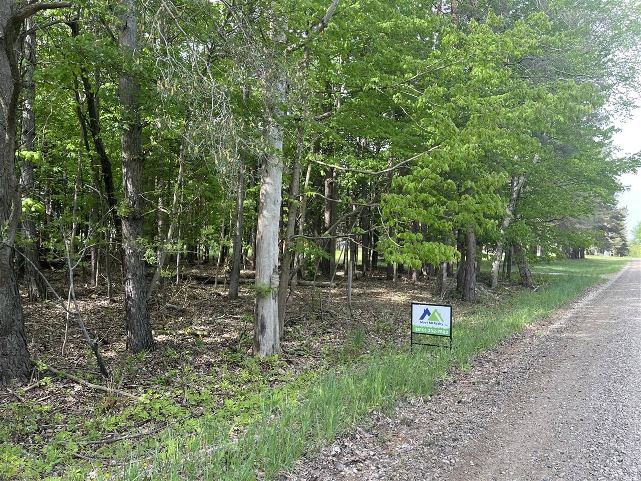 Croswell, MI 48422,Mortimer Line Road