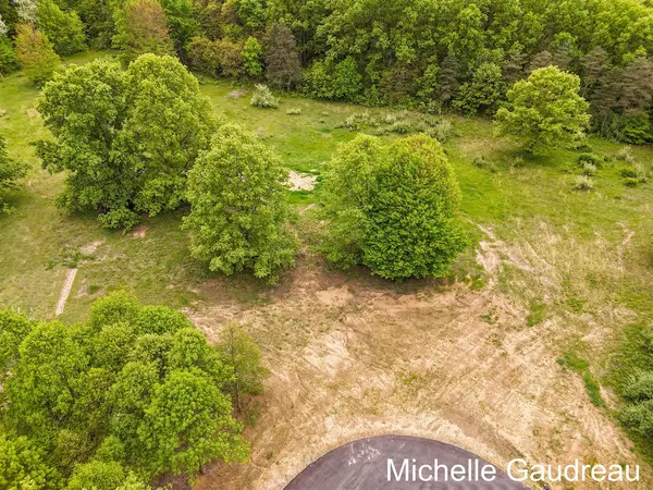 Freeport, MI 49325,Parcel 6 Leaf Lane