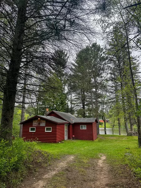 3151 N Douglas Road, Luther, MI 49656