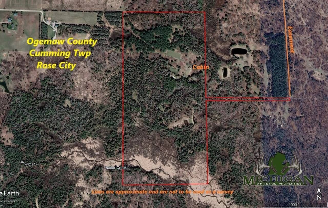 Rose City, MI 48654,841 Long Shaft Ln