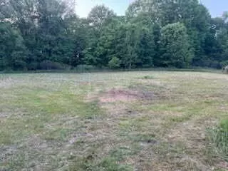 3873 W 136th Street, Grant, MI 49327
