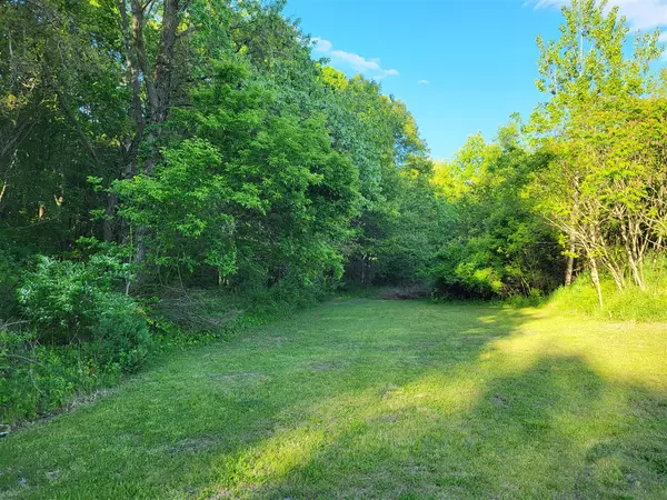 Plainwell, MI 49080,V/L 10th Street