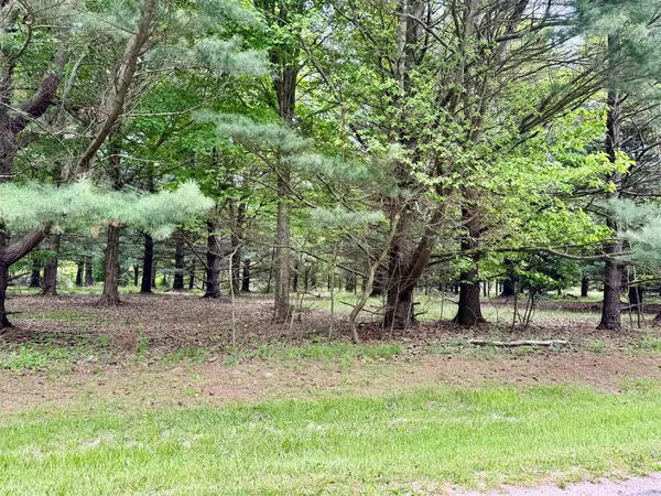 South Haven, MI 49090,V/L Creekwood