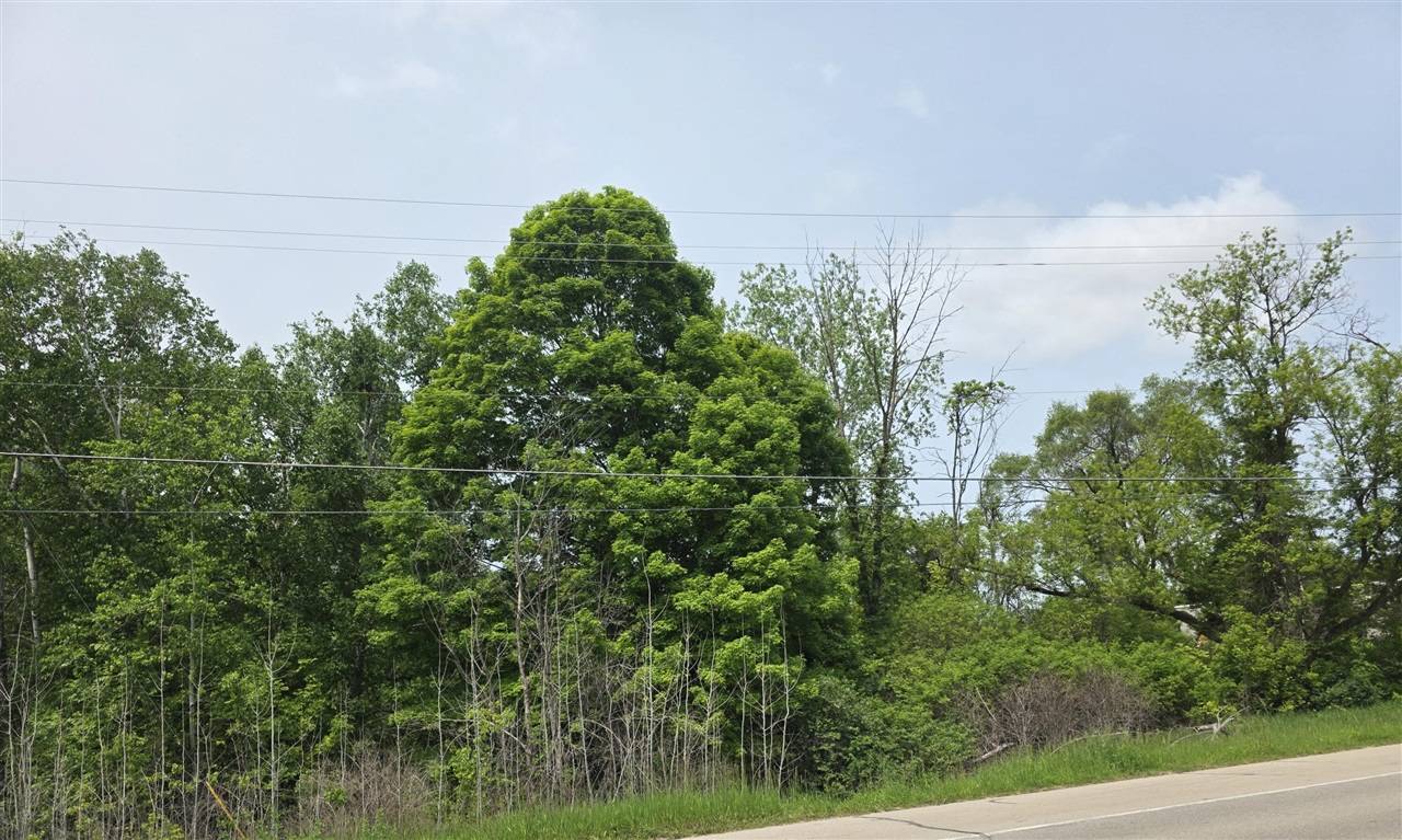 Stanton, MI 48888,V/L Lot 5 S State Street