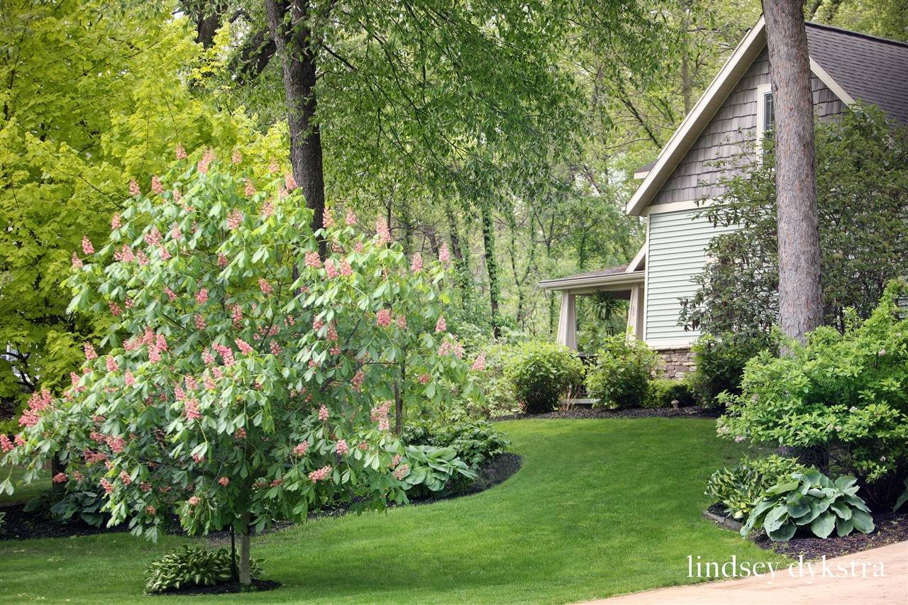 Rockford, MI 49341-8776,8501 Camelot Drive