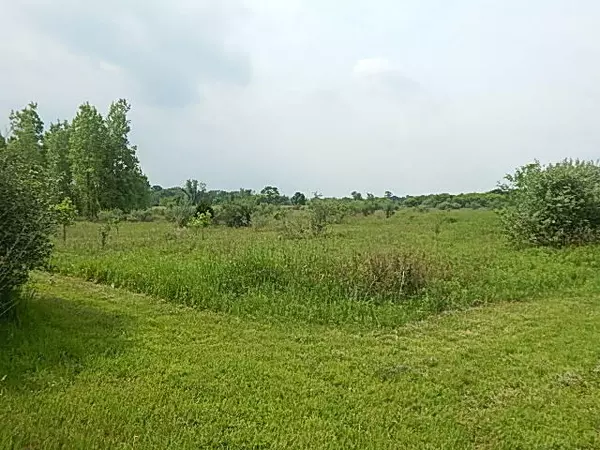 Stockbridge, MI 49285,2855 Oakley Road