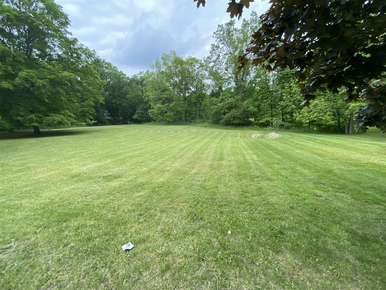 Lots 12&13 Lincoln Street, Greenville, MI 48838-1109