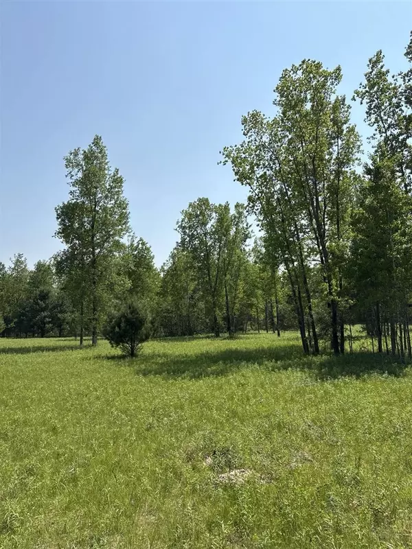 V/L 200th Avenue, Morley, MI 49336