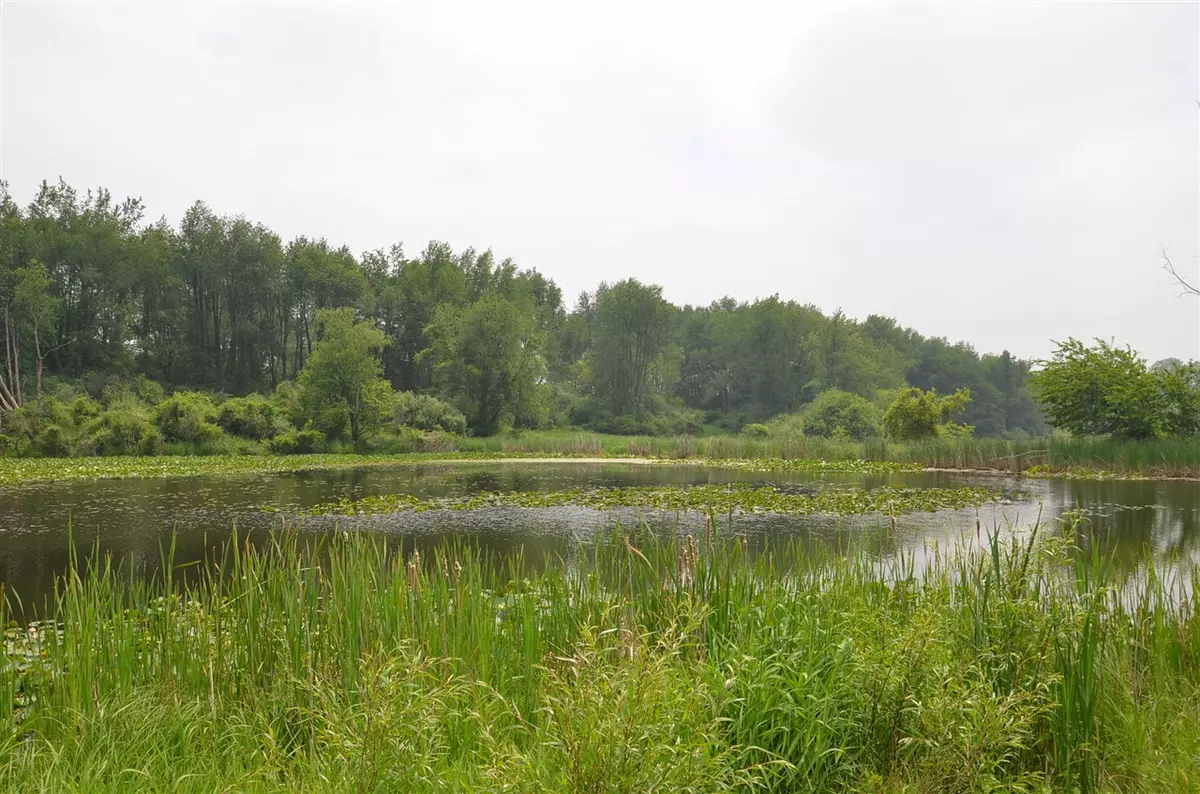 Climax, MI 49034-49034,4500 S 42nd Street