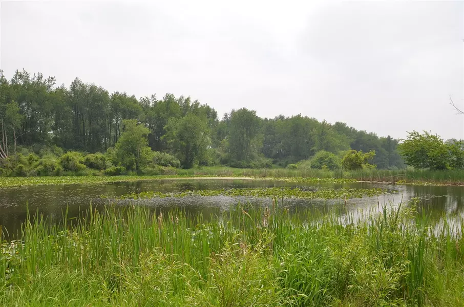 4500 S 42nd Street, Climax, MI 49034-49034