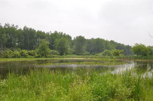 4500 S 42nd Street, Climax, MI 49034-49034