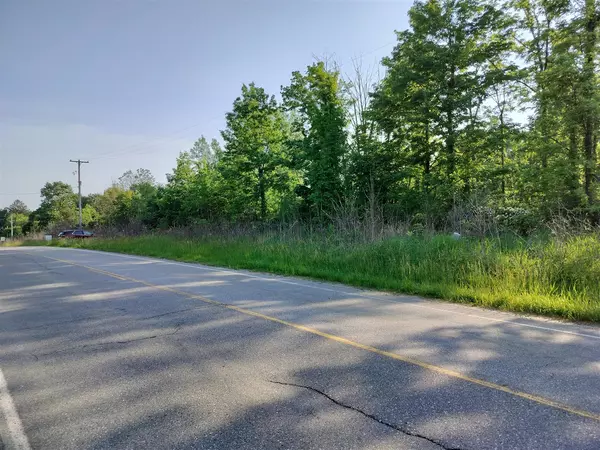 Fennville, MI 49408,VL 56th Street
