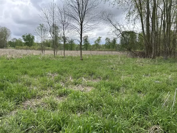 Freeport, MI 49325,Cunningham Lot 1 Road