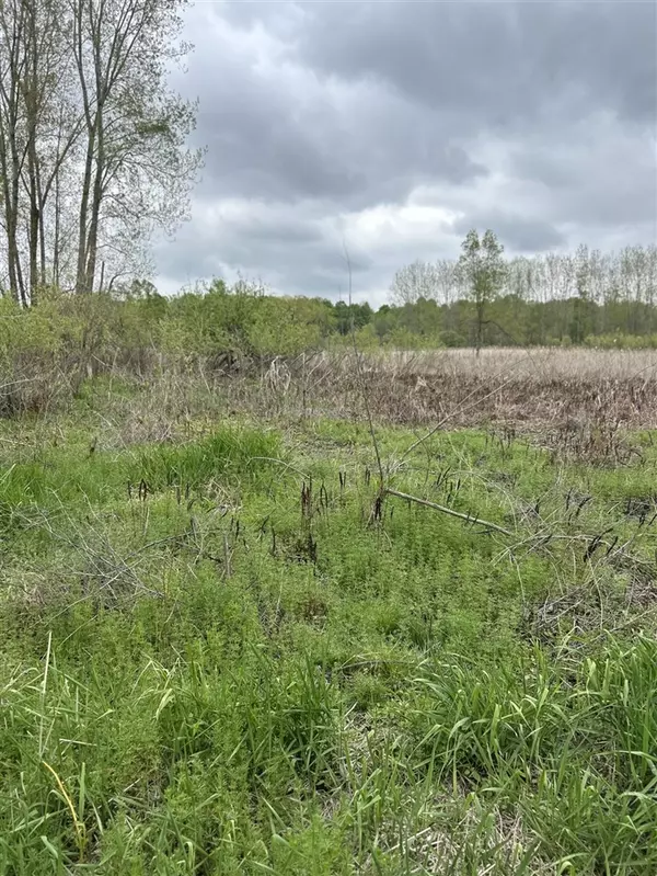 Freeport, MI 49325,Cunningham Lot 1 Road