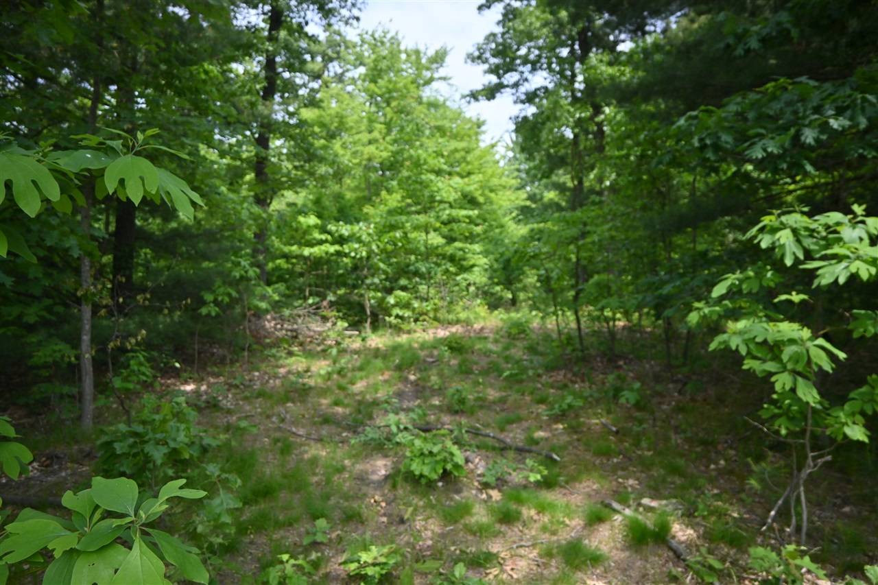 Muskegon, MI 49442,3352 White Eagle Drive