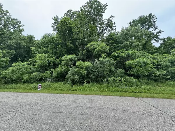 74161 Ridgeway Drive, Lawton, MI 49065