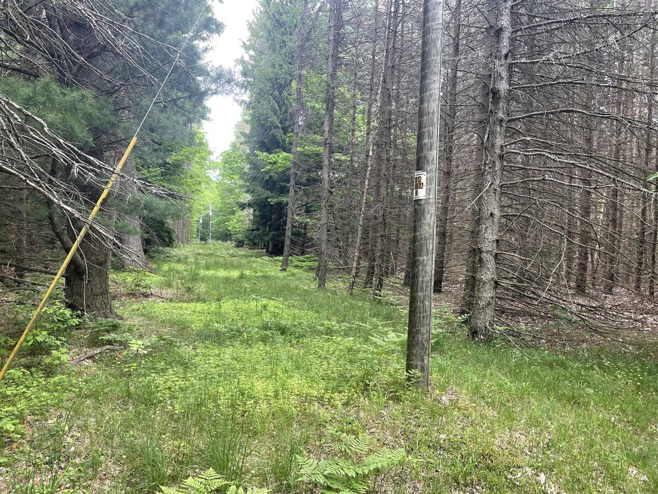 SILVER LAKE DR Drive, Shelby, MI 49455