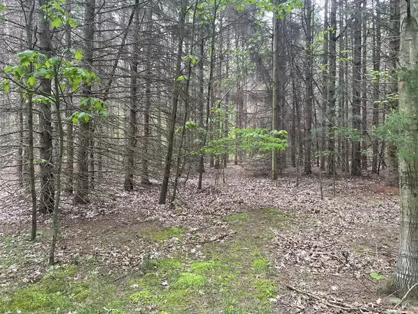 Shelby, MI 49455,SILVER LAKE DR Drive