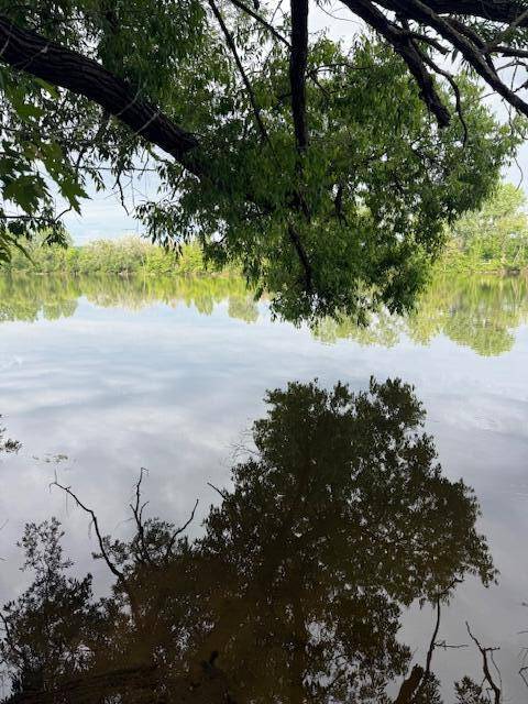 Grand Rapids, MI 49525,3903 Willow Drive