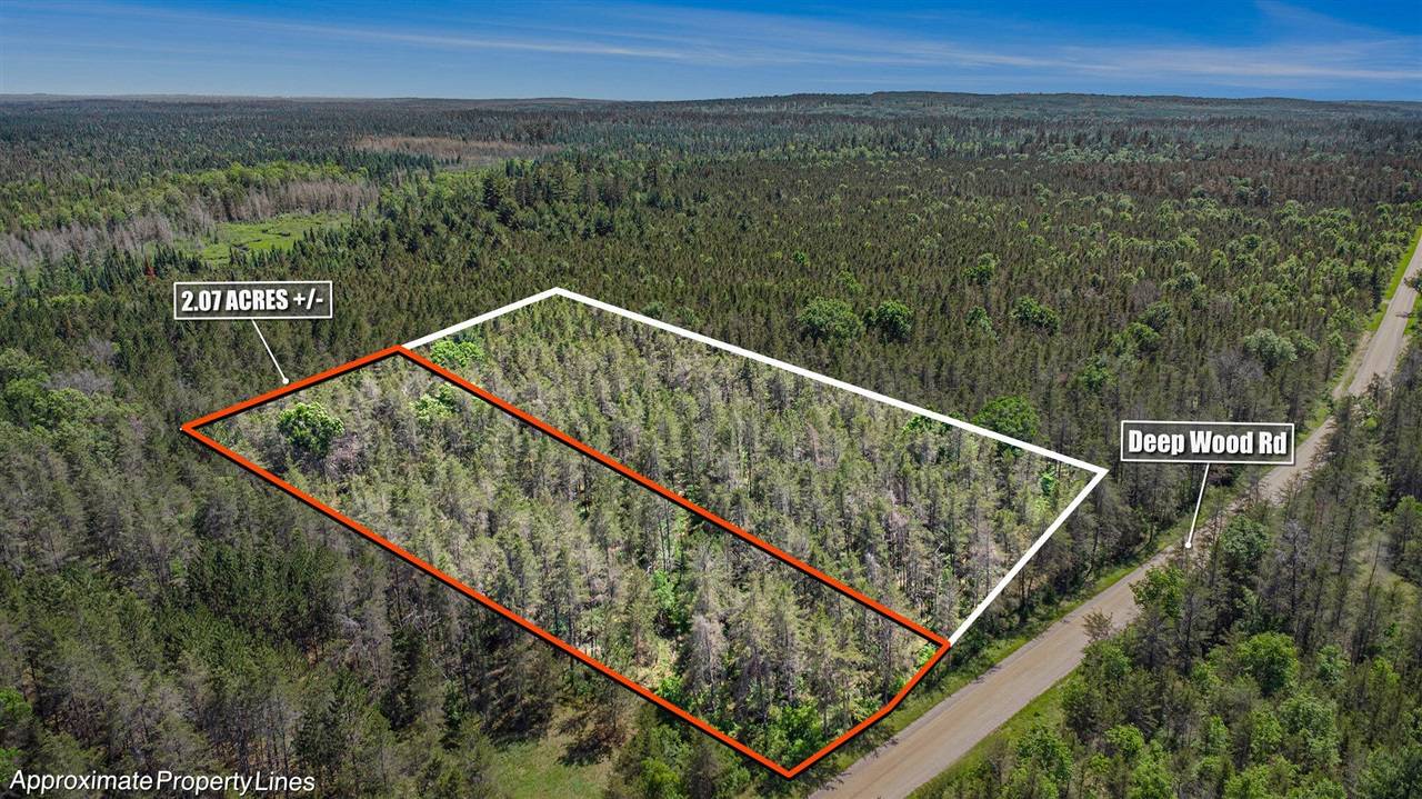 V/L(2.07A) Deep Wood Road, Roscommon, MI 48653