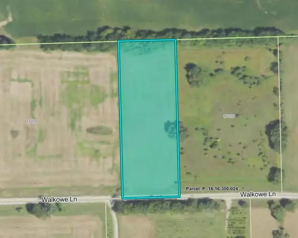 Manchester, MI 48158,0 Walkowe Lane