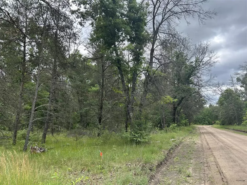 V/L S Dillard Street, Baldwin, MI 49304