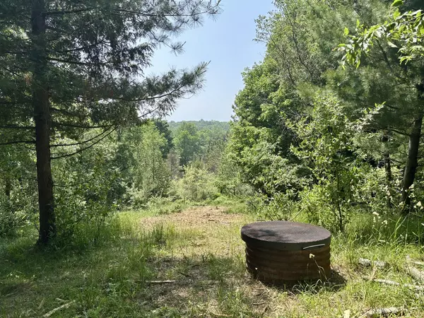 Arcadia, MI 49613,002 Maxey Road