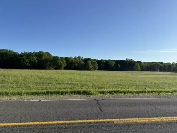 12828 Buchanan Road, Stanwood, MI 49346