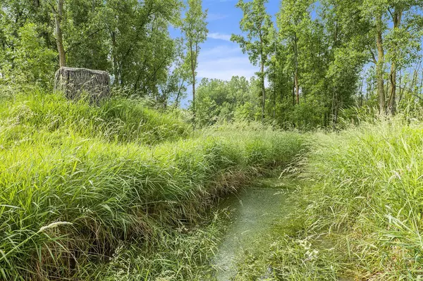 Ashley, MI 48806,9820 S Bagley Road