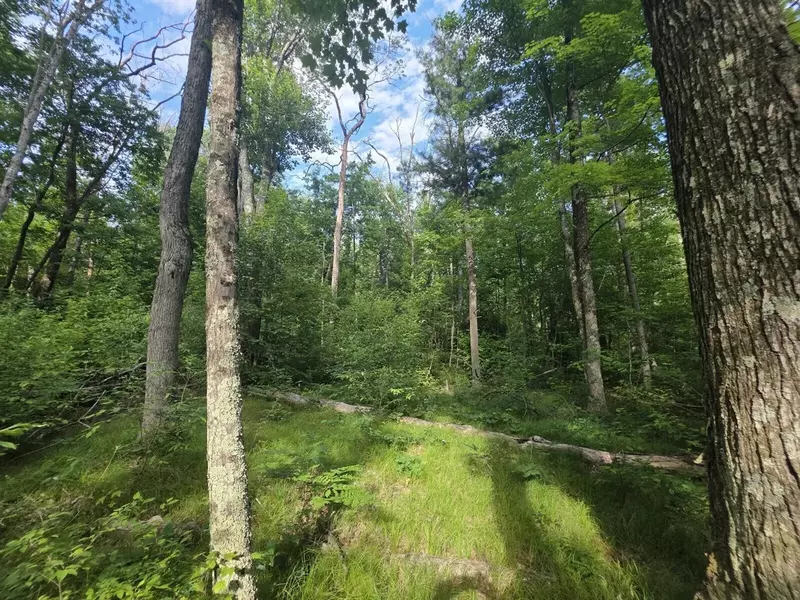 Michland Path, White Cloud, MI 49349